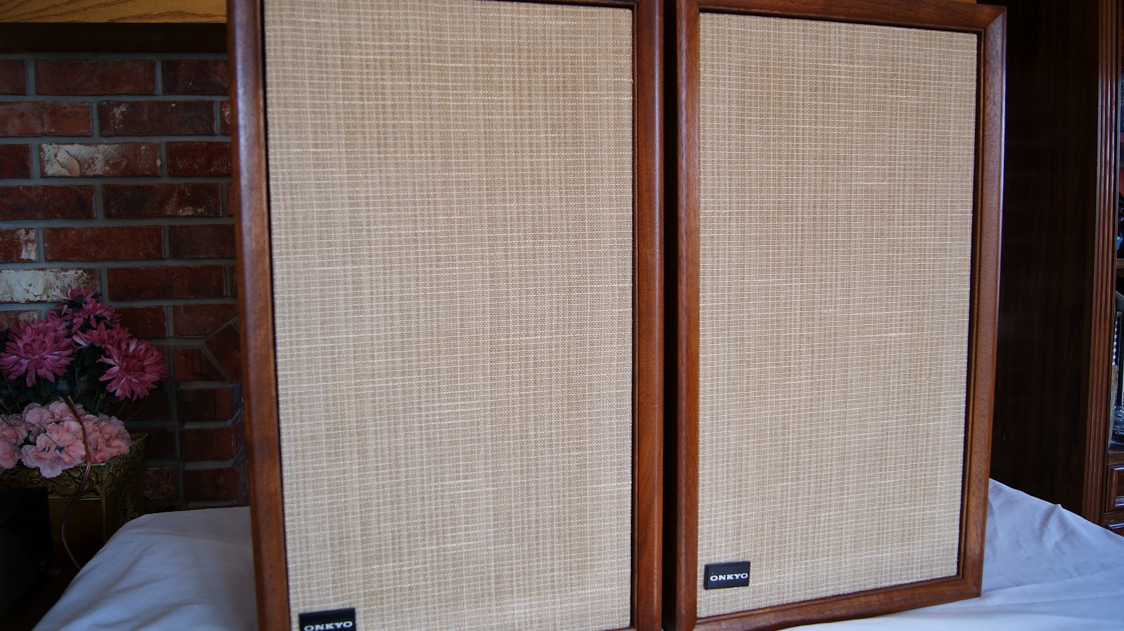 Audioless Winnipeg Group! New Pictures of the Onkyo Model 20 Speakers