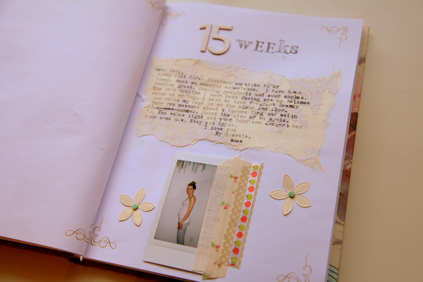 vintage pretty Pregnancy Journal