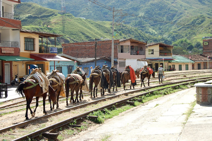Las vías férreas y un tren de mulas