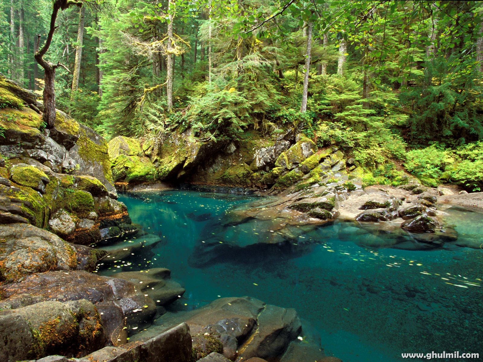 http://2.bp.blogspot.com/-OjeafynY6SY/UEvTrzNG8FI/AAAAAAAAADw/b_gjlhGsKGg/s1600/natural-scenery-or-blue-lake-wallpaper.jpg