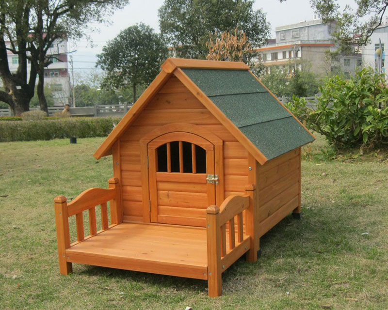 köpek kulübesi