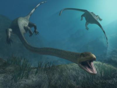 Thalattoarchon Saurophagis
