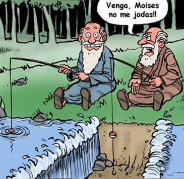 Pescadores Humor gráfico Videos Chistosos Divertidos