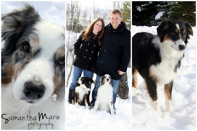 couple pose with their dogs in the snow