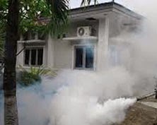 ramuan tradisional (herbal), alami mengobati penyakit demam berdarah dengue (dbd)