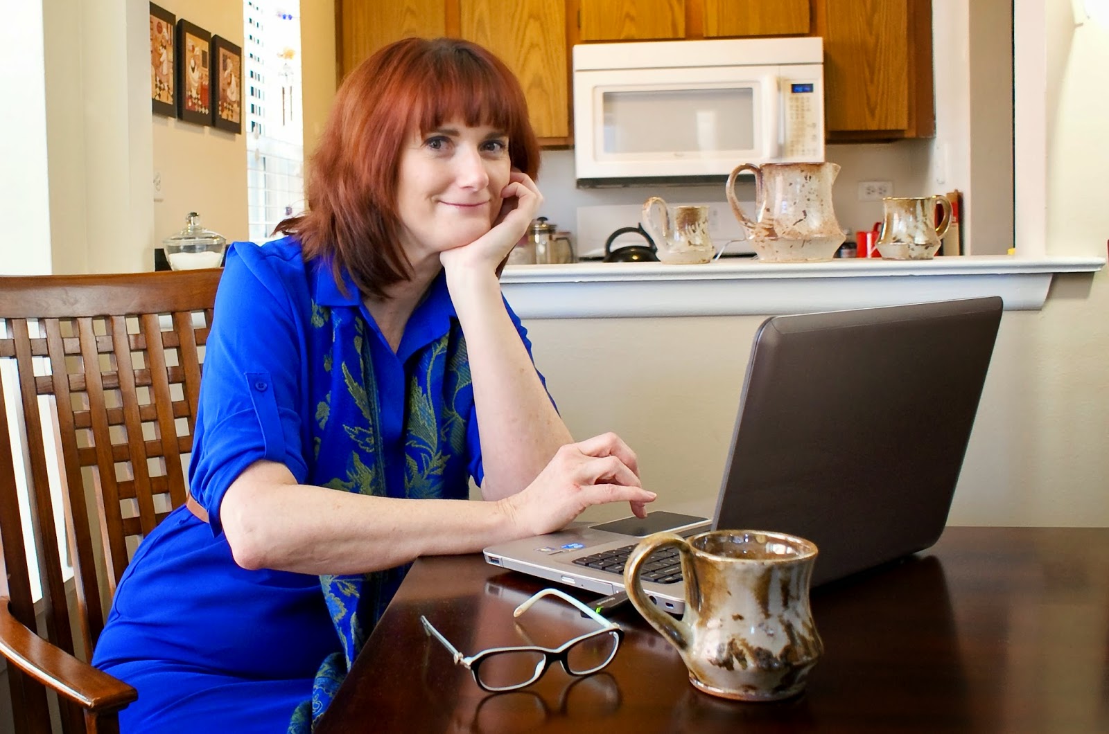 View from the Birdhouse Book Review and Giveaway Oh Say Can You