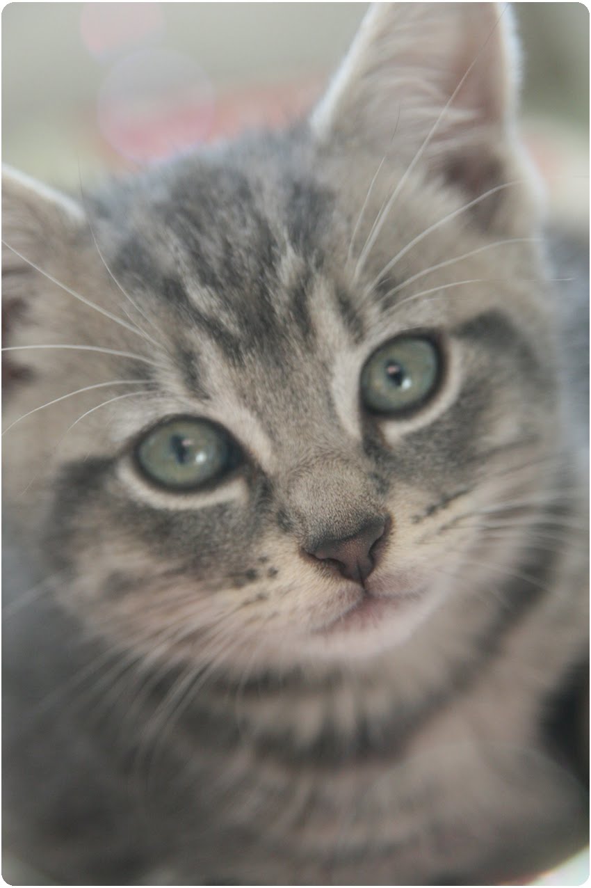 incontra e scopa uncinetto