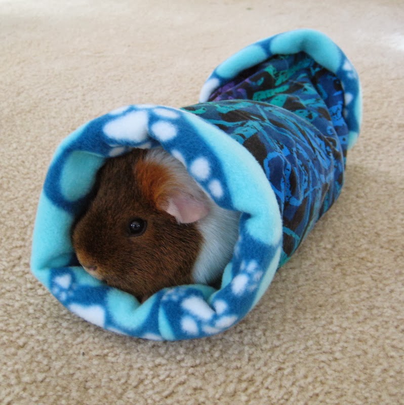 Crafts, Cavies and Cooking New Tunnels