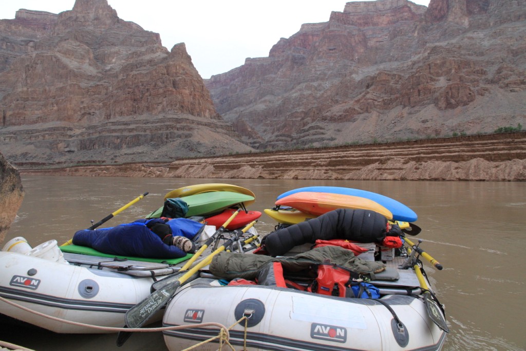 Claire O'Hara Day 21 'Night Float'