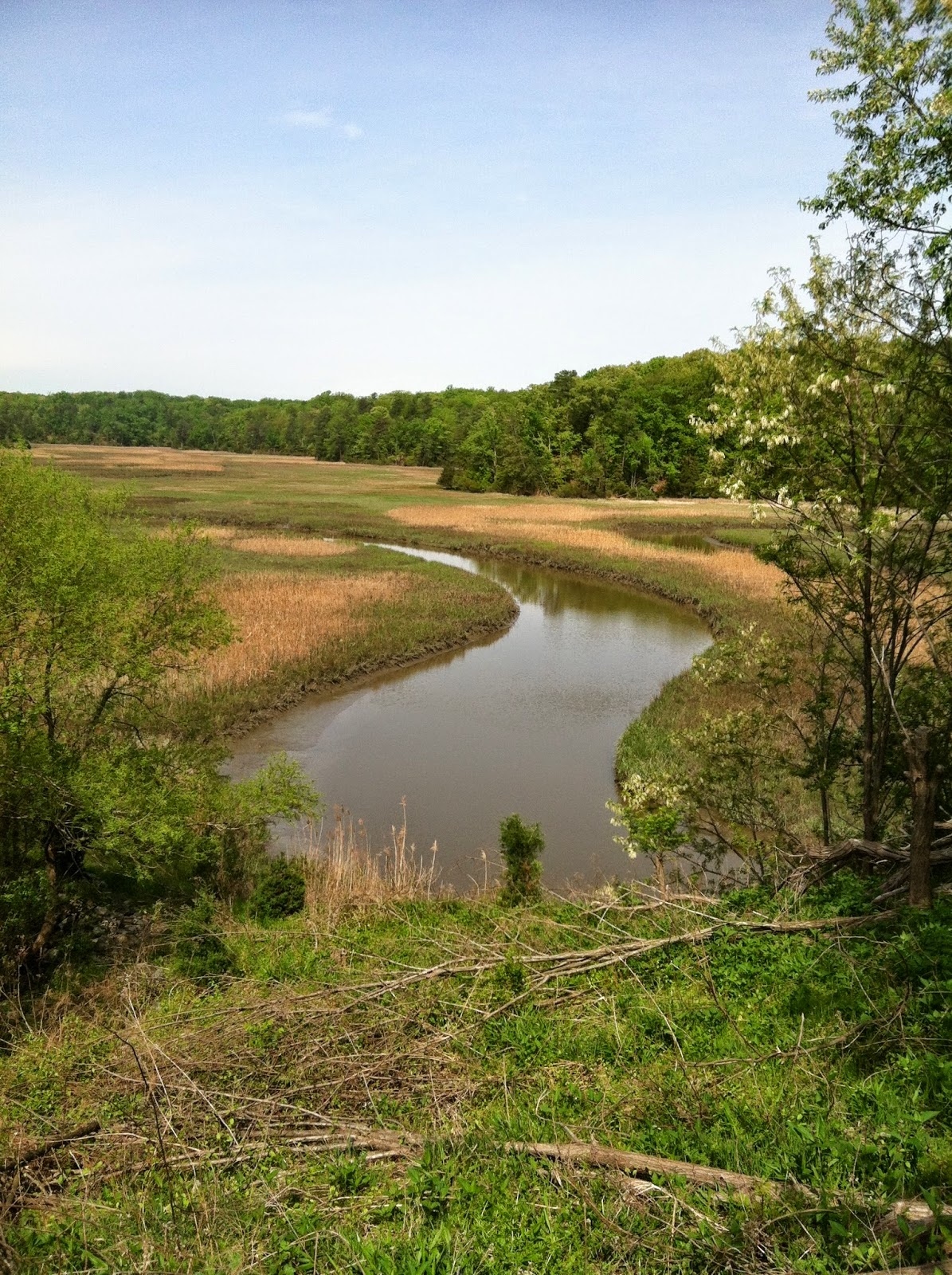 Visions of Virginia York River State Park
