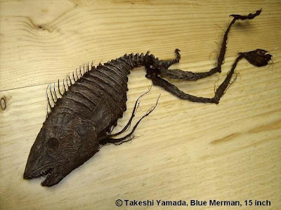 Blue Merman by Takeshi Yamada