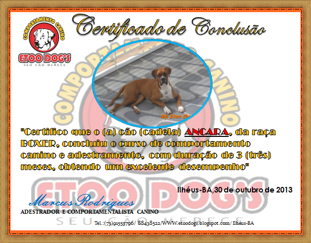 CERTIFICADO