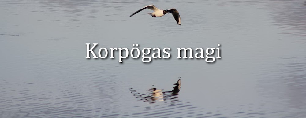 Korpögas magi