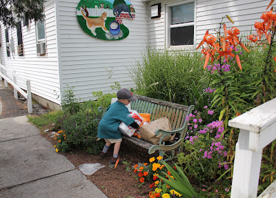 Any Given Moment: Cat community room