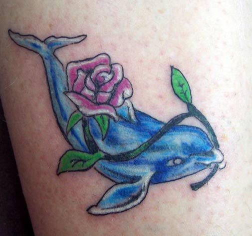 Dolphin Tattoos