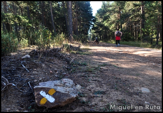 Senderismo-Bronchales-Sierra-Alta