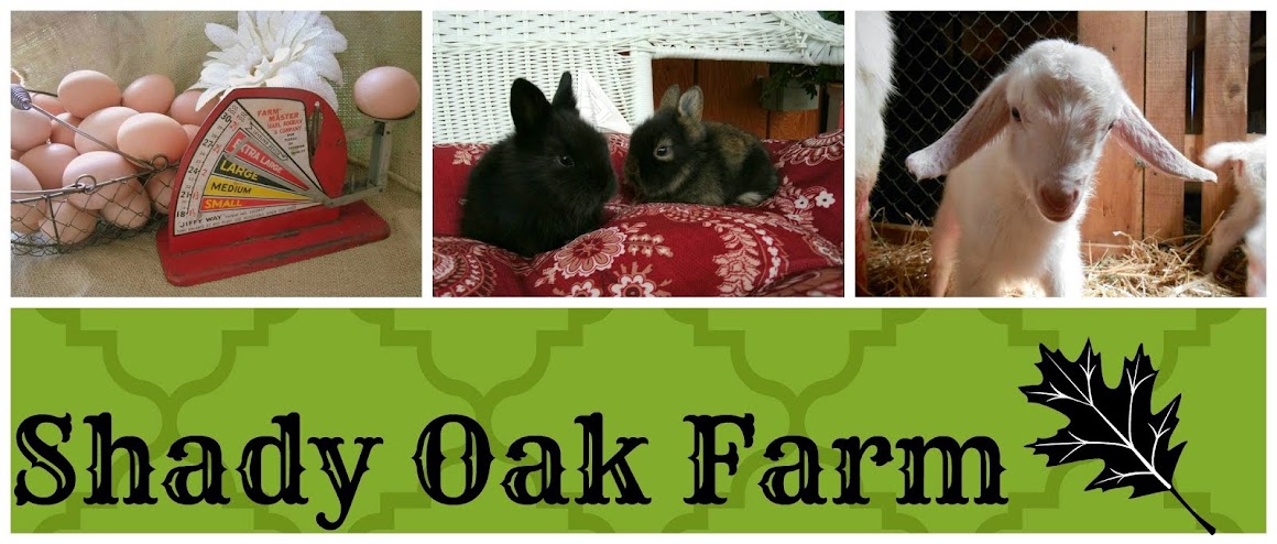 Shady Oak Farm