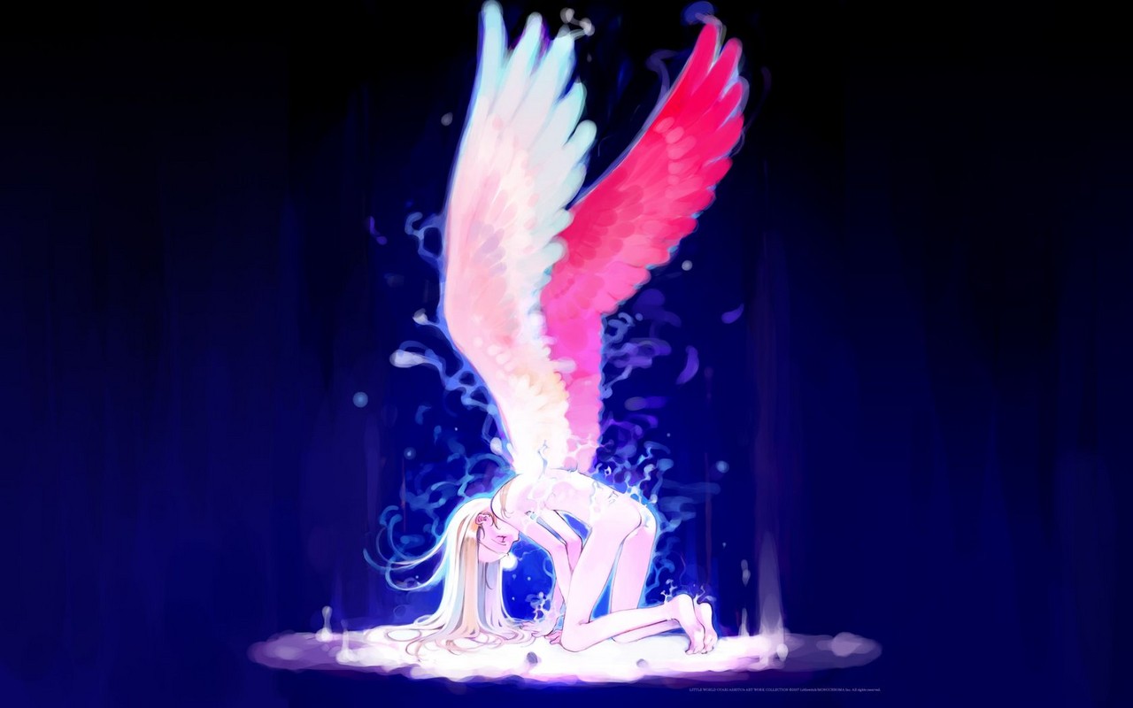 cool anime angel