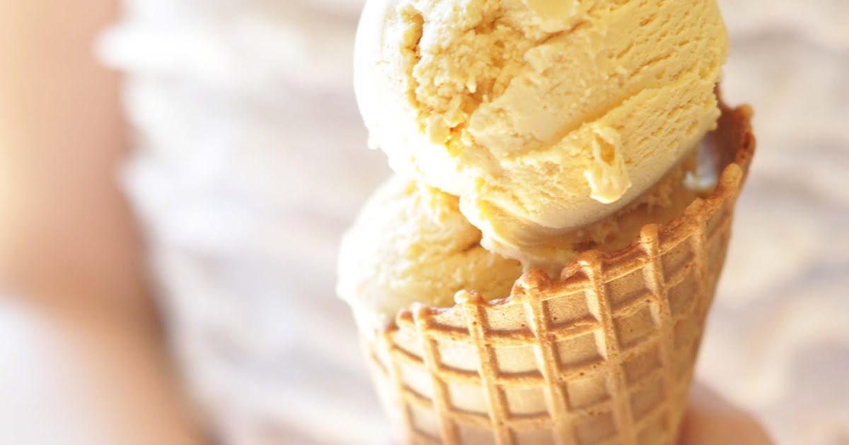 dash and bella WELL TEMPERED