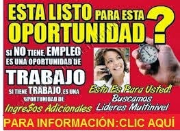 OPORTUNIDAD DE NEGOCIO