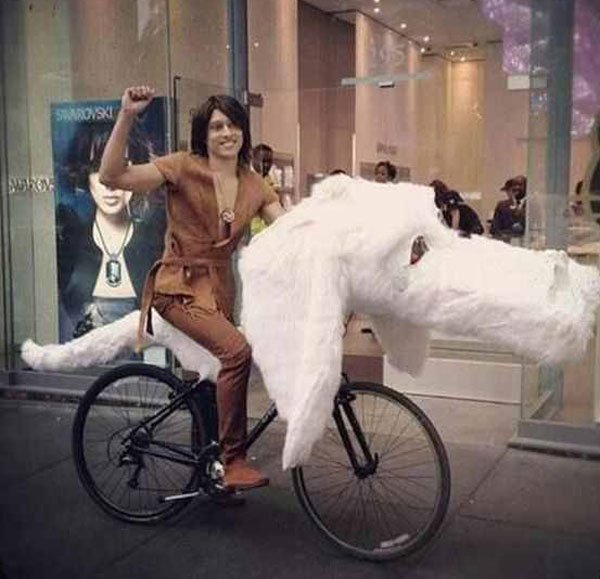 Dog bike Daily Dose of humor * funny videos, pics and jokes