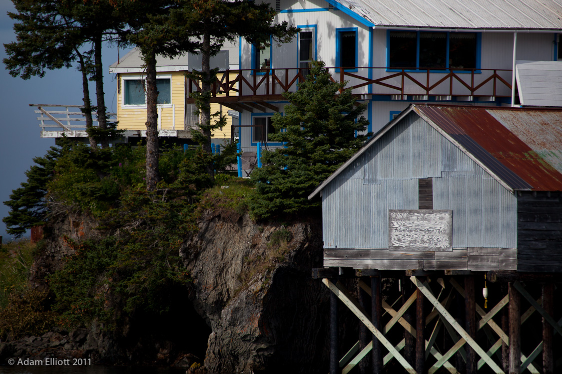 Atom's Picture Blog Seldovia