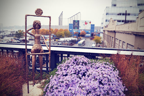 New York High Line Blumen Oktober 2013