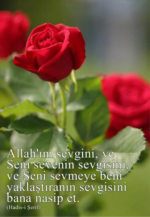 Usta28 Dua Sevgiliye Yazilmis Bir Mektup Gibidir Zarfin Icerisine Yuregini Koyanin Duasi Kabul Edilir Sems I Tebrizi