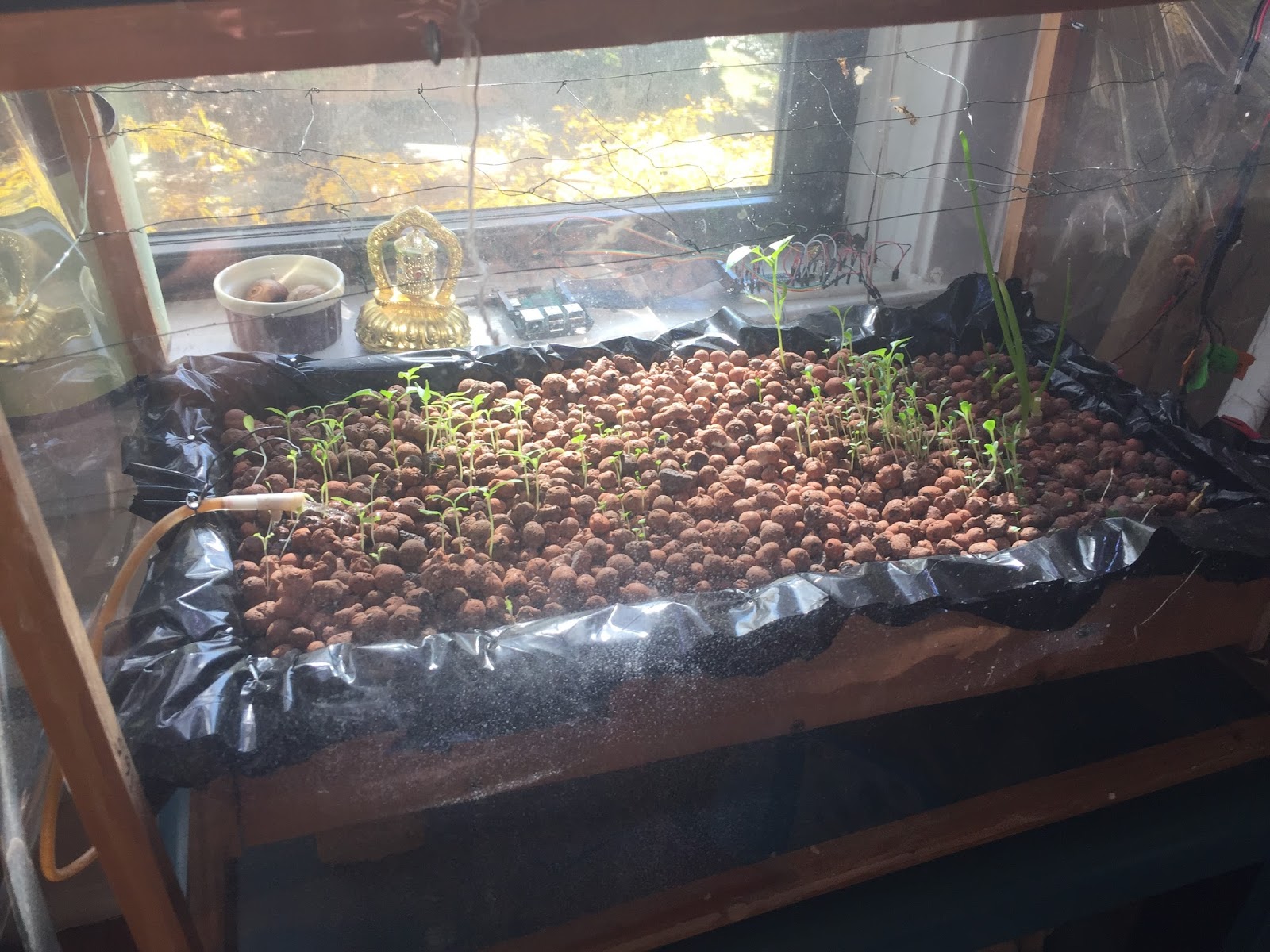 Raspberry Pi Powered Hydroponics Raspberry Pi Powered Hydroponics