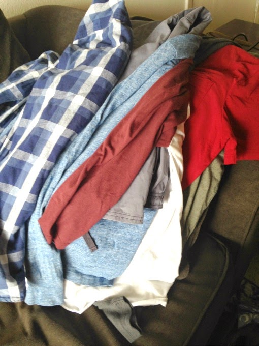 Domesticated Dutchish Bed Bugs and Vaseline What To Do When "Bugs