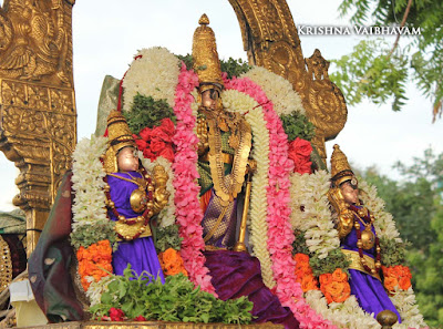 2015, Brahmotsavam, Sri Ranganatha Swamy, Parthasarathy Temple, Thiruvallikeni, Triplicane, Revathi Nakshatram