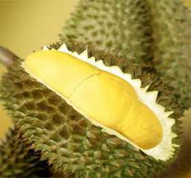 Motivasi Dari Sifat Buah Durian [ www.BlogApaAja.com ]