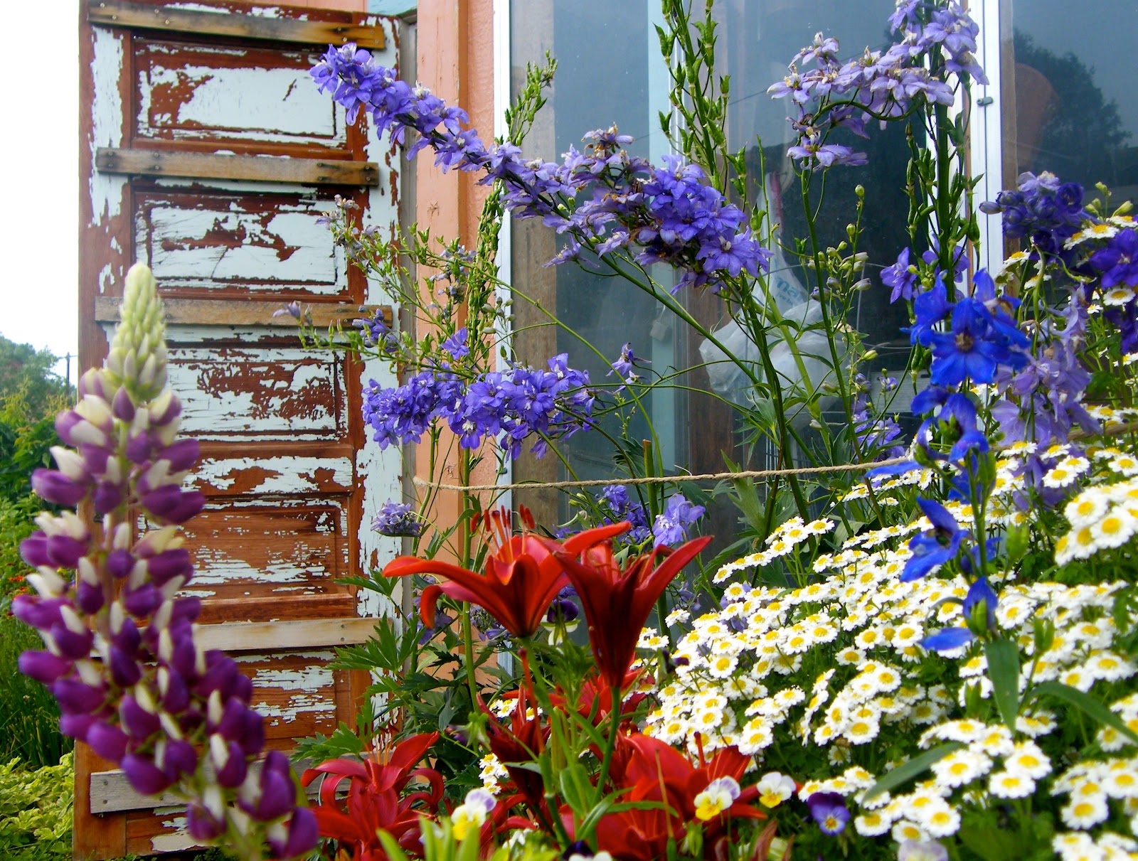 P O T A G E R Red, White and Blue in the Garden