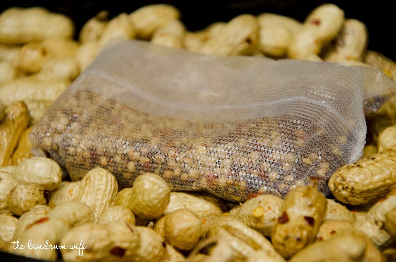 And Drink the Wild Air Crock Pot Cajun Boiled Peanuts