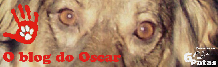 O blog do Oscar