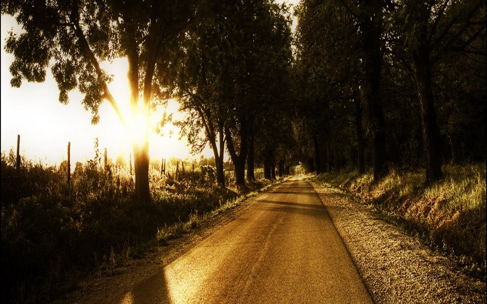 Digital HD Wallpapers: Best 3D Nature Wallpapers Set HD