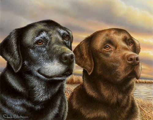 04-Charles-Black-Hyper-Realistic-Pencil-Drawings-of-Dogs-www-designstack-co