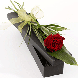 Single Red Rose flowers delivery in Kuwait Single Red Rose flowers delivery in Kuwait with Price