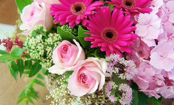 [Image: cam-gio-hoa-sac-hong-lang-mang-4.jpg]