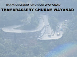 THAMARASSERY CHURAM WAYANADU