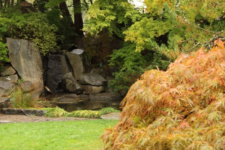 Things To Do In Washington State Yashiro Japanese Garden Olympia