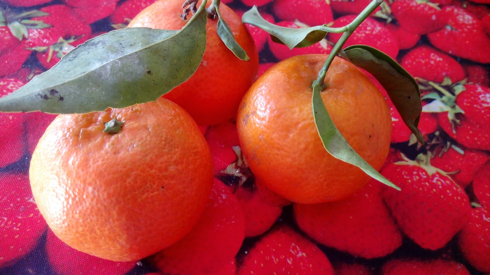 fruta naranjas mandarinas online fruta naranjas mandarinas online