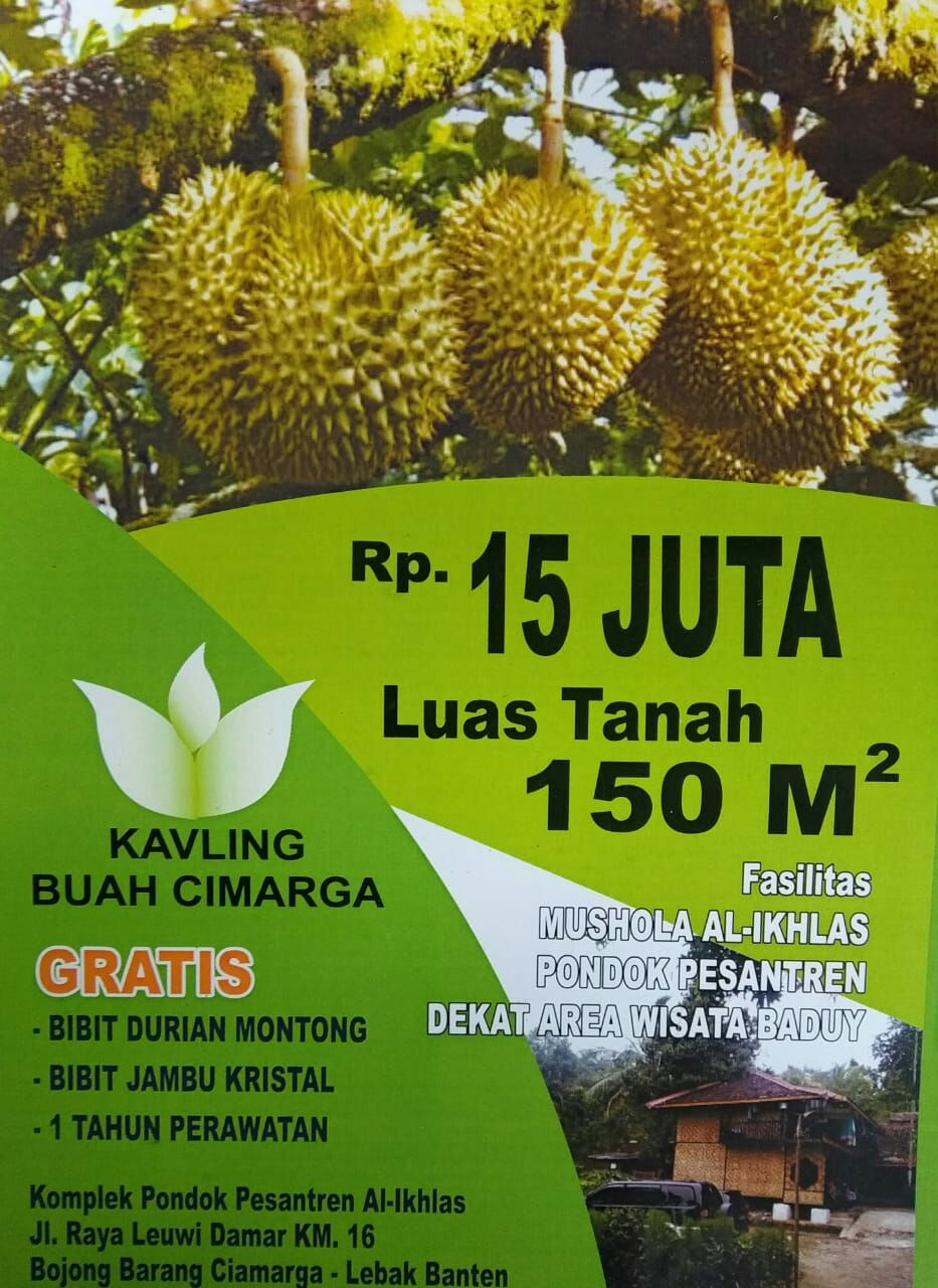 KAVLING BUAH CIMARGA CUMA 15JT/150M2 DI LEBAK BANTEN