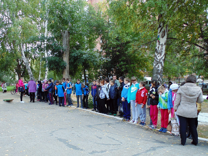 Правила ПДД для школьников