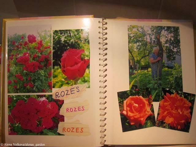 фотоальбом, альбом, подарок на 8 марта, цветы, фото цветов, для садовода, огородника