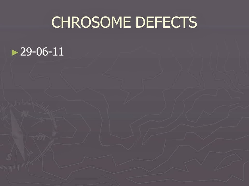 Slide 29