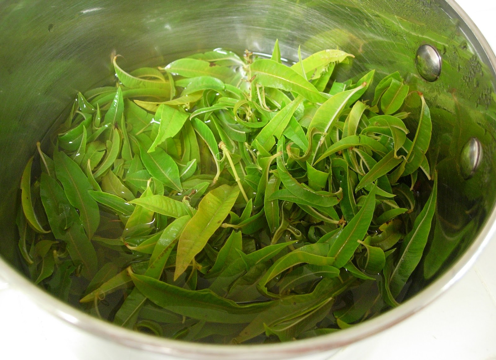 A Table For Rue, Please Lemon Verbena Jelly