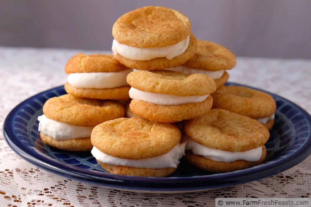 Farm Fresh Feasts Snickerdoodle Cinnamon Ice Cream Sandwiches (