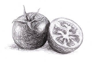 Magellin . Blog: Tomato drawing