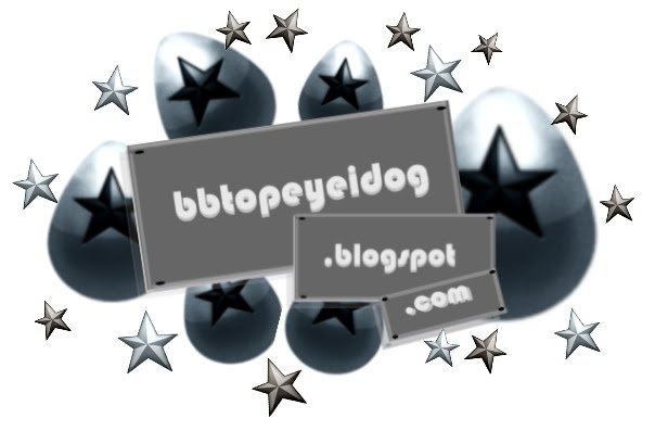 bbtopeyeidog.blogspot.com